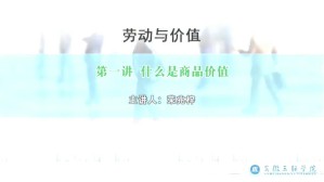劳动与价值视频教程 荣兆梓 6讲 安徽三联学院