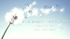 花儿视频教程 周亮 9讲 兰州大学