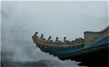 武汉城市特色视频教程 王炎松 1讲 武汉大学