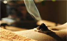 艾灸的作用机制视频教程 缪礼虹 1讲 其他