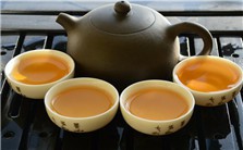 初识“小茶”视频教程 超星视频 1讲 超星公司