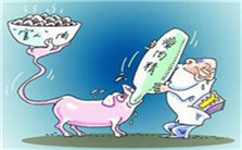 新型可食用瘦肉精视频教程 杨青平 1讲 河南日报报业集团