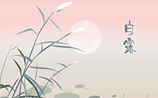 《诗经》的基本常识视频教程 沈立岩 1讲 南开大学