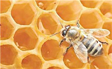 甜蜜的陷阱视频教程 超星视频 1讲 超星公司