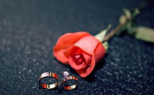 “婚礼”真意视频教程 沈立岩 1讲 南开大学