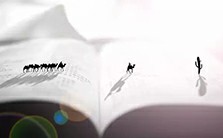 读万卷书，行万里路视频教程 张三夕 1讲 华中师范大学