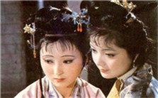 红楼人物之钗黛关系评议视频教程 王蒙 1讲 其他