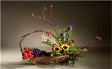 插花花材精选视频教程 刘艳芳 2讲 知音花艺