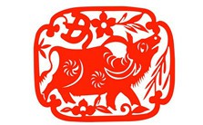 活学巧用——玩儿转手中的剪刀视频教程 沈松柏 4讲 湖北省剪纸协会