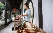 古筝基础<em>入门</em>视频教程 何小栋 5讲 上海忠艺琴行