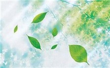 诗歌：让心灵自由飞翔视频教程 吴思敬 5讲 首都师范大学
