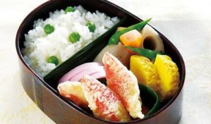 饮食与生活视频教程 汪超 5讲 湖北工业大学