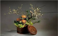 插花艺术实务视频教程 刘艳芳 6讲 知音花艺