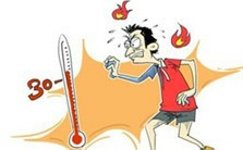 各类暑温症对症疗法视频教程 杨进 7讲 南京中医药大学