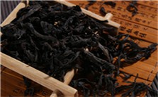 静心茶道行茶礼法视频教程 张勃 8讲 雅集堂茶艺修身学堂