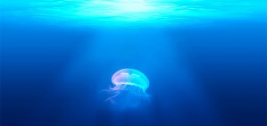 浅谈海上可再生<em>能源</em>的力学问题视频教程 李晔 2讲 上海交通大学