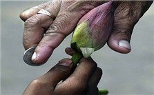 英国慈善组织的发展经验与借鉴视频教程 王世强 2讲 中国社会科学院