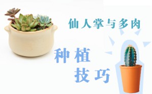 仙人掌植物与多肉类植物的<em>种植</em>技巧视频教程 邬志星 2讲 中国风景园林学会