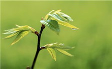 环境暴露的分子标记物视频教程 Wei Zheng 2讲 美国范德堡大学