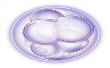 Mesenchymal stem cell:diseases and cure视频教程 施松涛 2讲 美国南加利福尼亚大学