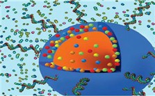 Polymer Micro Nanotechnology for Biomedical Applications视频教程 L.James Lee 2讲 美国俄亥俄州立大学