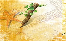 图书馆系列讲座：学位论文的排版技巧（Word2010）视频教程 唐海燕 2讲 北京语言大学