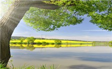 Environment and sustainable development视频教程 Paul Croft 2讲 美国肯恩大学