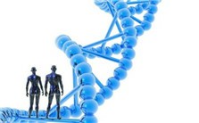人类基因功能的新探索视频教程 陈林 2讲 中南大学