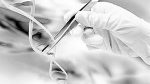 DNA Mismatch Repair in Cancer视频教程 Guo-Min Li 2讲 美国肯塔基大学
