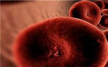 解读“生理学或医学奖”视频教程 罗振革 2讲 中国科学院