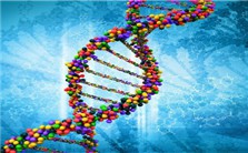 DNA2 helicase/nuclease, genome instability and Fanconi anemia pathway视频教程 Judith Campbell 2讲 美国加州理工学