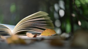 我与世界华语文学视频教程 严歌苓 2讲 其他