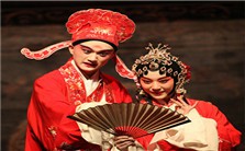 “古典江南的莺啼花开——曲学南化与昆曲清唱”图片展及研讨会视频教程 汪小丹 7讲 其他