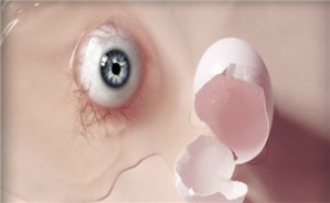 生死结，生死解——用伦理的眼透视生命视频教程 魏琳 4讲 西安交通大学