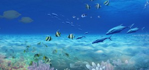 从华南到越南：16—18世纪南海西北岸人群流动与区域开发视频教程 李庆新 4讲 广东省社会科学院
