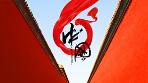 2017年全国两会情况介绍视频教程 李长安 4讲 中国地质大学