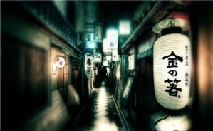 日本选举实践视频教程 江利红 8讲 华东政法大学