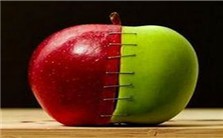 是水稻？还是农药？——超越科学看转基因问题视频教程 田松 3讲 北京师范大学