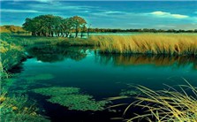 Ecosystem –based Wetland Management and Research: Approaches and Case Studies in the United States视频