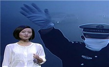 公众人物如何影响中国的制度建构视频教程 王向民 3讲 华东师范大学