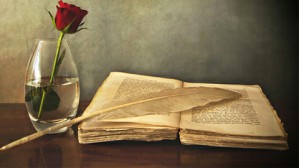 芒福德学说及其实践意义视频教程 宋俊岭 3讲 其他