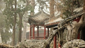 唯有碧云称纤秾——香山碧云寺的历史文化价值视频教程 高云昆 5讲 北京市香山公园管理处