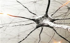 解读诺贝尔“生理学或医学奖专场”视频教程 王纲 3讲 中国科学院