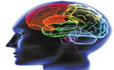 破解灵魂的奥秘：灵魂到底是什么视频教程 陈刚 5讲 华中科技大学