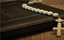 后现代、解放和后批判的圣经诠释：科默德、素布里诺、弗莱视频教程 杨克勤 4讲 美国西北大学