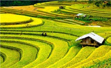中国大气污染与环境生态保护视频教程 唐孝炎 5讲 中国工程院