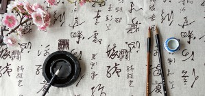 汉字为中文带来了什么？视频教程 申小龙 3讲 复旦大学