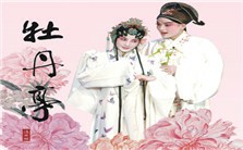 青春版《牡丹亭》十年之旅视频教程 白先勇 3讲 美国加利福利亚大学