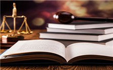 司法独立的制度实践：经验考察与理论再思视频教程 支振锋 3讲 中国社会科学院