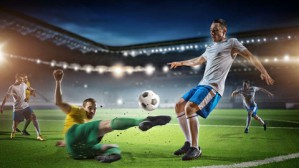 世界杯的启示：未来是<em>游戏</em>的世界视频教程 郑也夫 7讲 北京大学